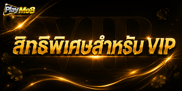 โปรแกรม VIP Playme8